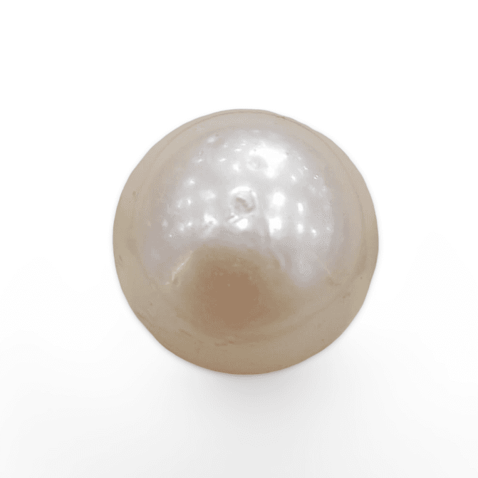 Natural South Sea Pearl – A Symbol of Elegance & Purity Summary No IGCDKBAJ48448