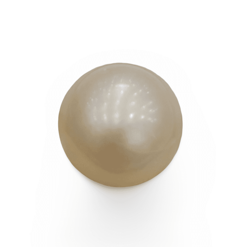 Natural South Sea Pearl – A Symbol of Elegance & Purity Summary No IGCDKBAJ42609
