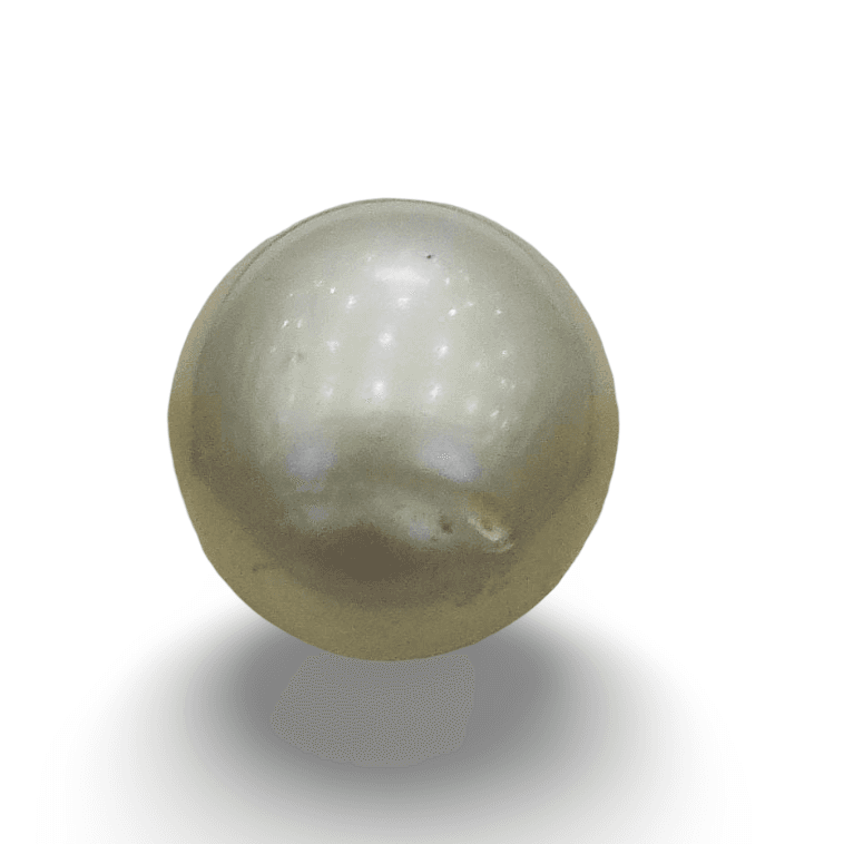 Natural South Sea Pearl – A Symbol of Elegance & Purity Summary No IGCDKBAJ42619