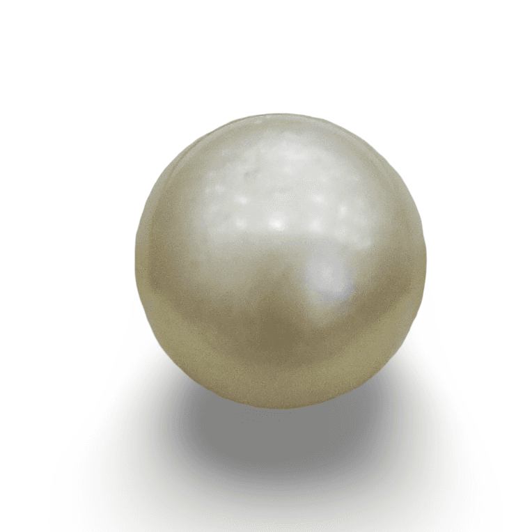 Natural South Sea Pearl – A Symbol of Elegance & Purity Summary No IGCDKBAJ42618