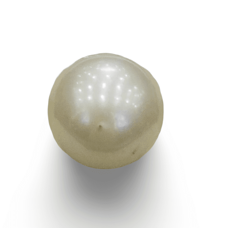 Natural South Sea Pearl – A Symbol of Elegance & Purity Summary No IGCDKBAJ42638