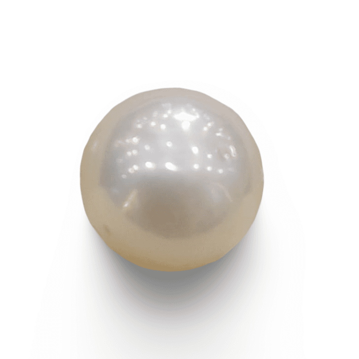Natural South Sea Pearl – A Symbol of Elegance & Purity Summary No IGCDKBAJ42585