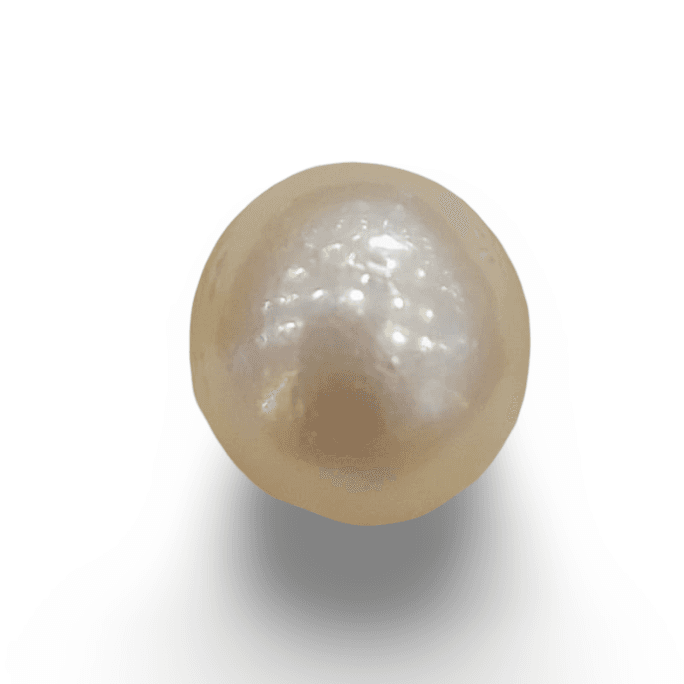Natural South Sea Pearl – A Symbol of Elegance & Purity Summary No IGCDKBAJ42605