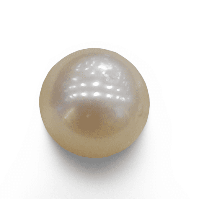 Natural South Sea Pearl – A Symbol of Elegance & Purity Summary No IGCDKBAJ42597