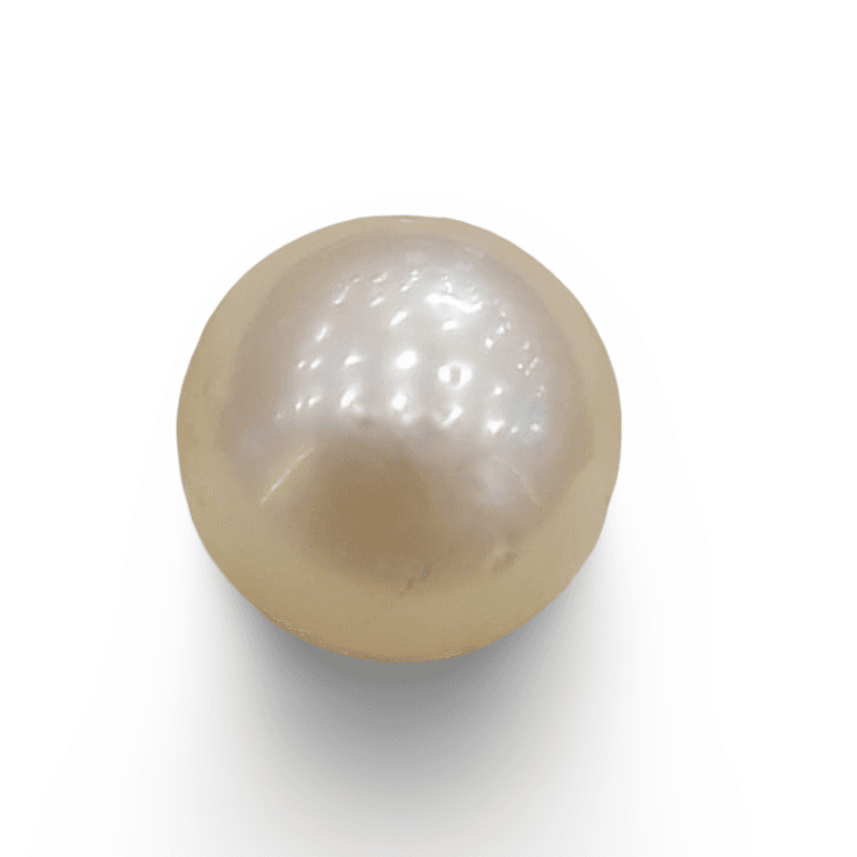 Natural South Sea Pearl – A Symbol of Elegance & Purity Summary No IGCDKBAJ42588