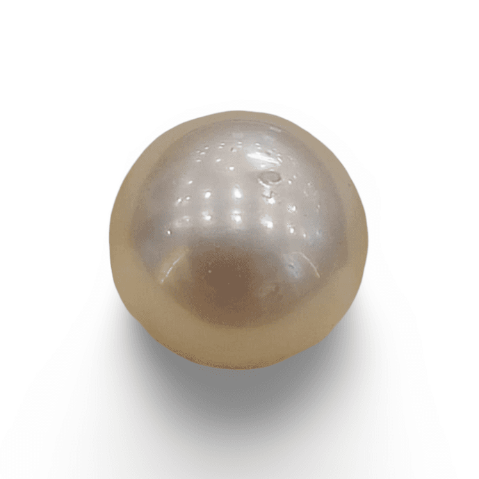 Natural South Sea Pearl – A Symbol of Elegance & Purity Summary No IGCDKBAJ42590