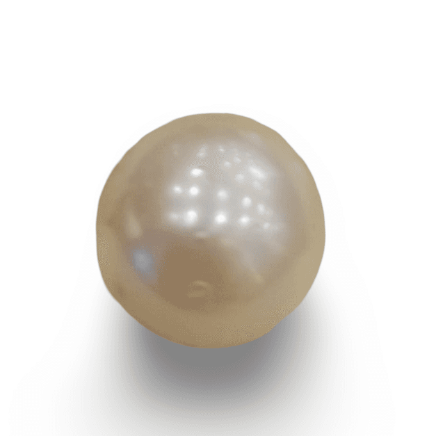 Natural South Sea Pearl – A Symbol of Elegance & Purity Summary No IGCDKBAJ42602