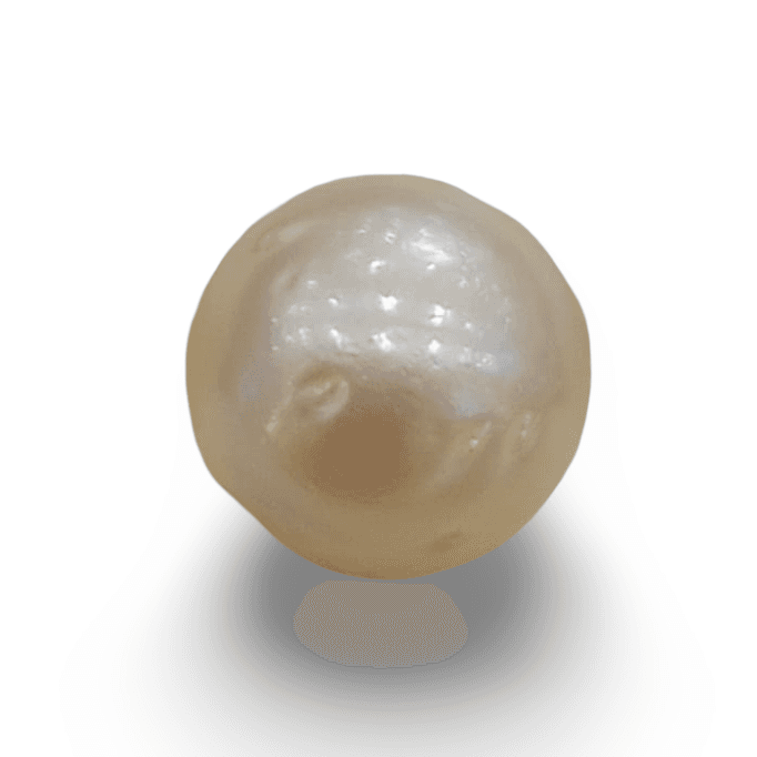 Natural South Sea Pearl – A Symbol of Elegance & Purity Summary No IGCDKBAJ42587