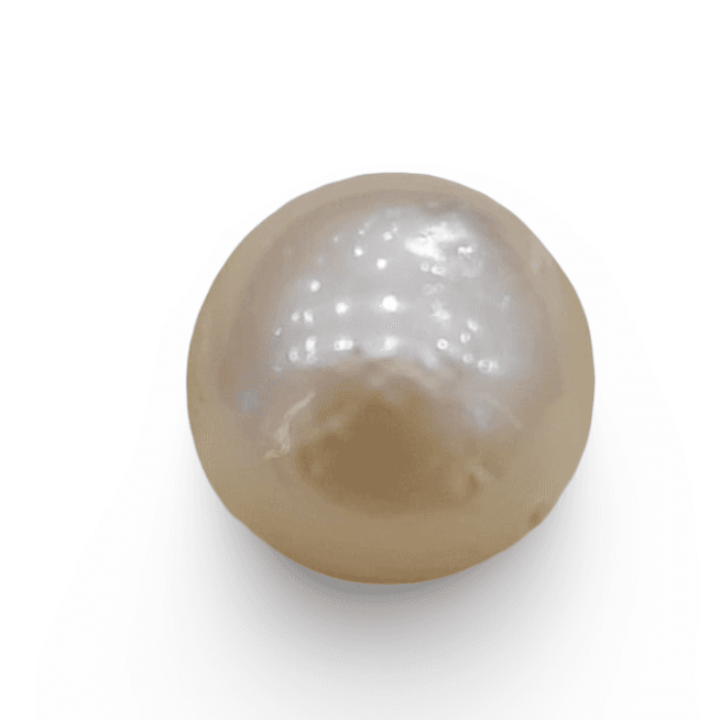 Natural South Sea Pearl – A Symbol of Elegance & Purity Summary No IGCDKBAJ42598