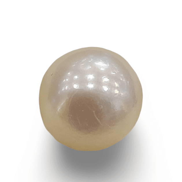 Natural Pearl The Essence of Elegance and Serenity Summary No IGCDKBAJ48355
