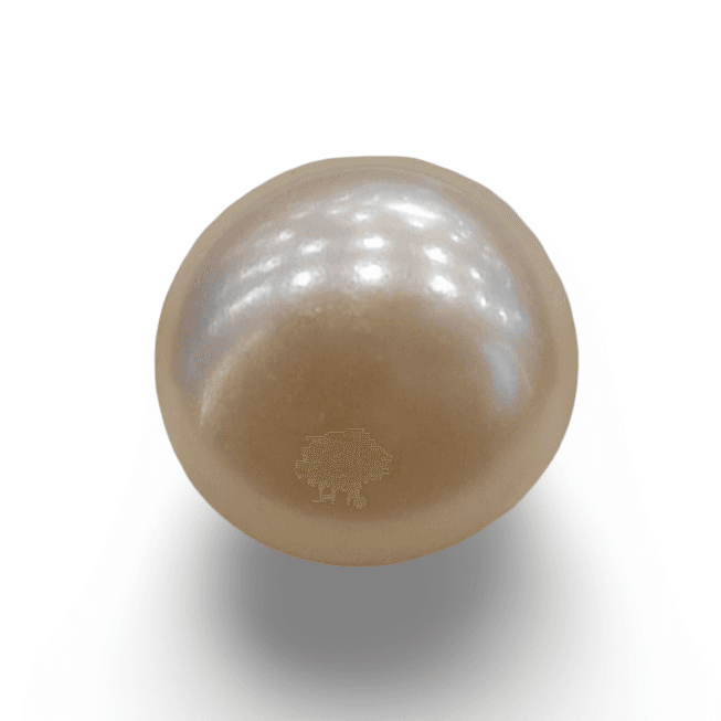 Natural Pearl The Essence of Elegance and Serenity Summary No IGCDKBAJ48384