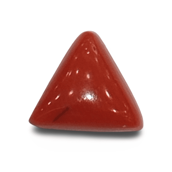Natural Italian Red Coral |4H00| Certified Triangular Cabochon Moonga | Untreated Gemstone IGCDKBAJ42443
