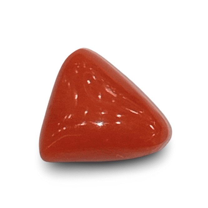 Natural Italian Red Coral |4H00| Certified Triangular Cabochon Moonga | Untreated Gemstone IGCDKBAJ42437