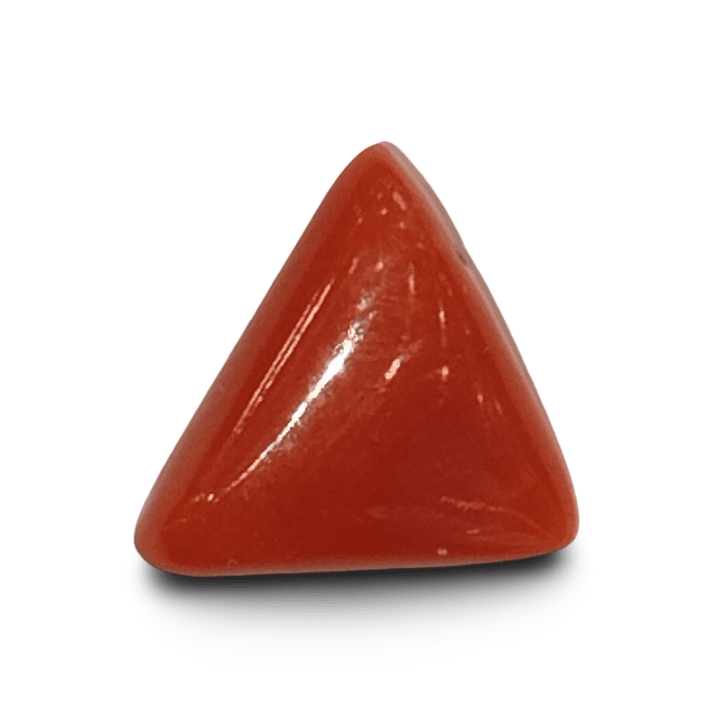 Natural Italian Red Coral |4H00| Certified Triangular Cabochon Moonga | Untreated Gemstone IGCDKBAJ42411