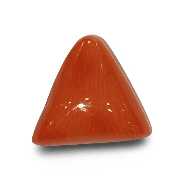 Natural Italian Red Coral |4H00| Certified Triangular Cabochon Moonga | Untreated Gemstone IGCDKBAJ42416