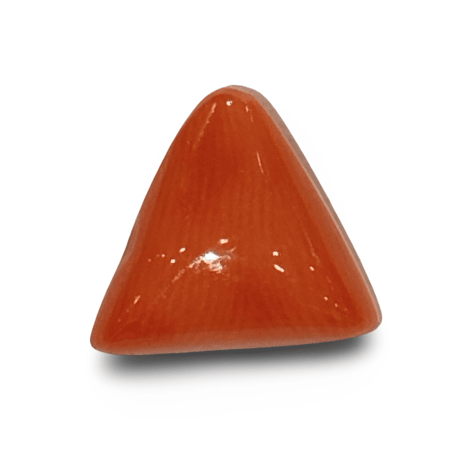 Natural Italian Red Coral |4H50| Certified Triangular Cabochon Moonga | Untreated Gemstone IGCDKBAJ42365