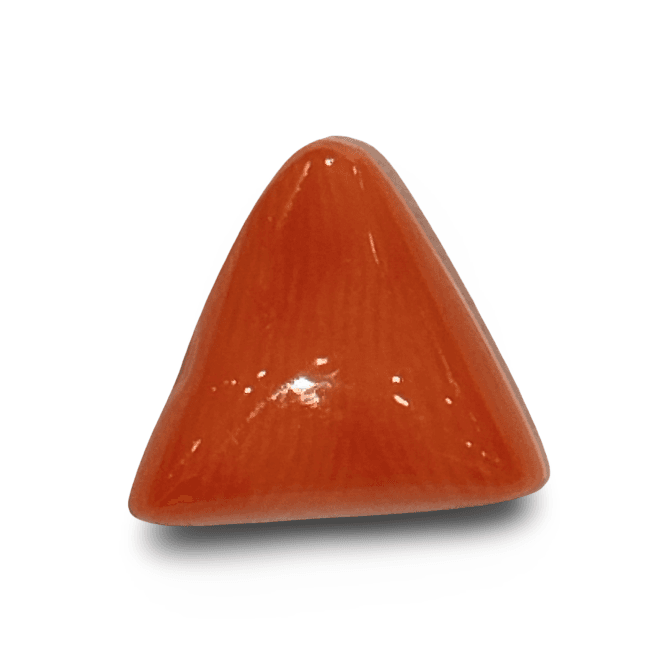 Natural Italian Red Coral |7H50| Certified Triangular Cabochon Moonga | Untreated Gemstone IGCDKBAJ42460