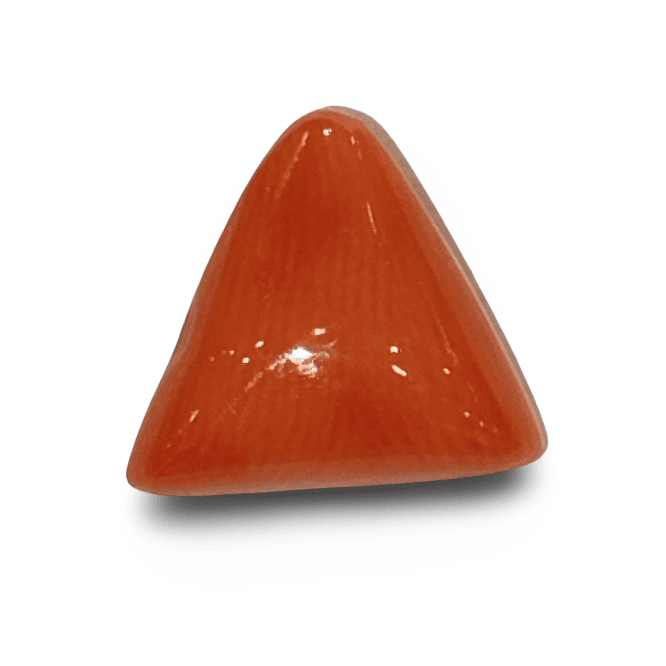 Natural Italian Red Coral |7H50| Certified Triangular Cabochon Moonga | Untreated Gemstone IGCDKBAJ42388