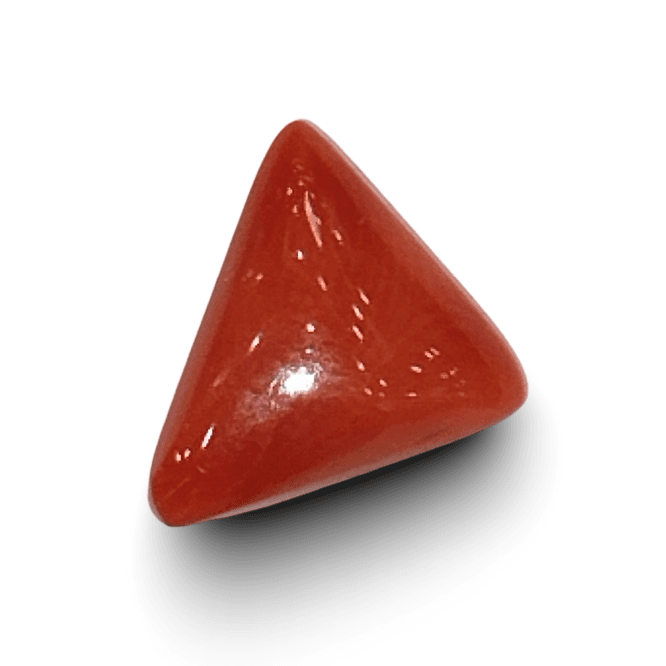 Natural Italian Red Coral |4H00| Certified Triangular Cabochon Moonga | Untreated Gemstone IGCDKBAJ42436