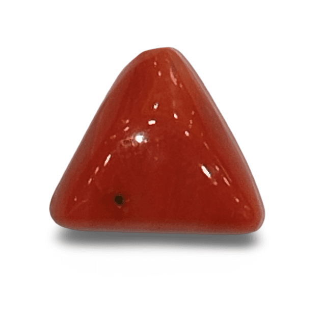 Natural Italian Red Coral |4H00| Certified Untreated | Triangular Cabochon IGCDKBAJ42415