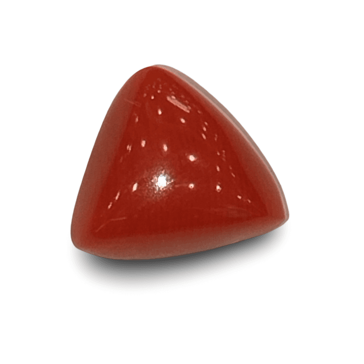 Natural Italian Red Coral |4H00| IGC Certified | Triangular Cabochon Summary No.IGCDKBAJ42407
