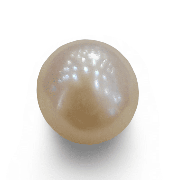 Natural Pearl (Moti): The Essence of Elegance and Serenity Summary No IGCDKBAJ48354