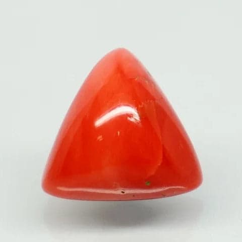Natural Red Italian Coral |7H50| Triangular Cabochon | Govt. Lab Certified | Report No. 12675D51976
