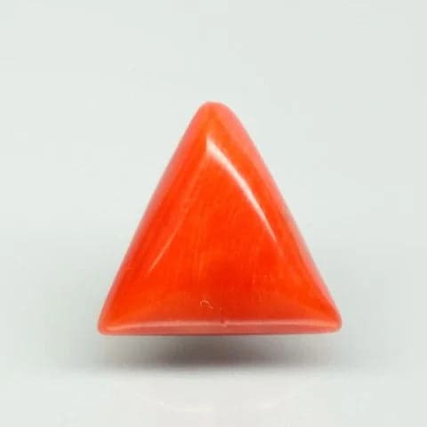 Natural Red Italian Coral |7H50|Triangular Cabochon | Govt. Lab Certified | Report No. 11836D47514