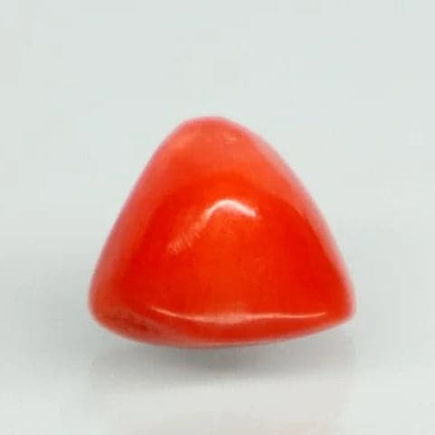 Natural Red Italian Coral |7H50| Triangular Cabochon | Govt. Lab Certified | Report No. 11858D47598