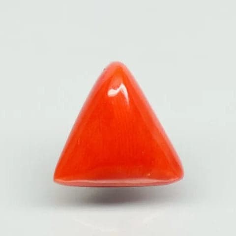 Natural Red Italian Coral |7H50| Triangular Cabochon | Govt. Lab Certified | Report No. 11836D47512
