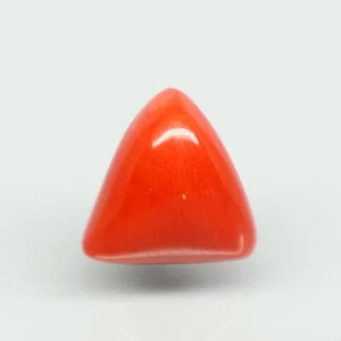 Natural Red Italian Coral |7H50| Triangular Cabochon | Govt. Lab Certified | Report No. 11775D47384