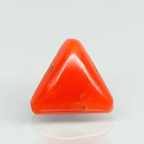 Natural Red Italian Coral |7H50| Triangular Cabochon | Govt. Lab Certified | Report No. 11858D47599
