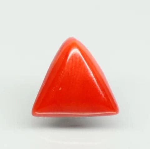 Natural Red Italian Coral |7H50| Triangular Cabochon | Govt. Lab Certified | Report No. 11775D47388