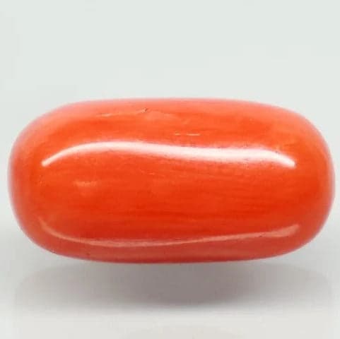 Natural Red Italian Coral |6H50| Oval Cabochon | Govt. Lab Certified | Report No. 12675D51966