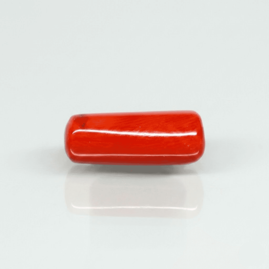 Natural Red Italian Coral |7H50| Cylindrical Specimen | Govt. Lab Certified | Report No. 12675D51973