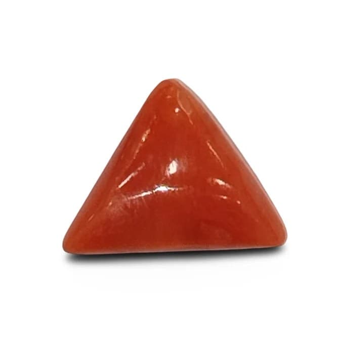 Natural Italian Red Coral |4H50| Untreated Triangular Cabochon Moonga | 6.17 Ratti